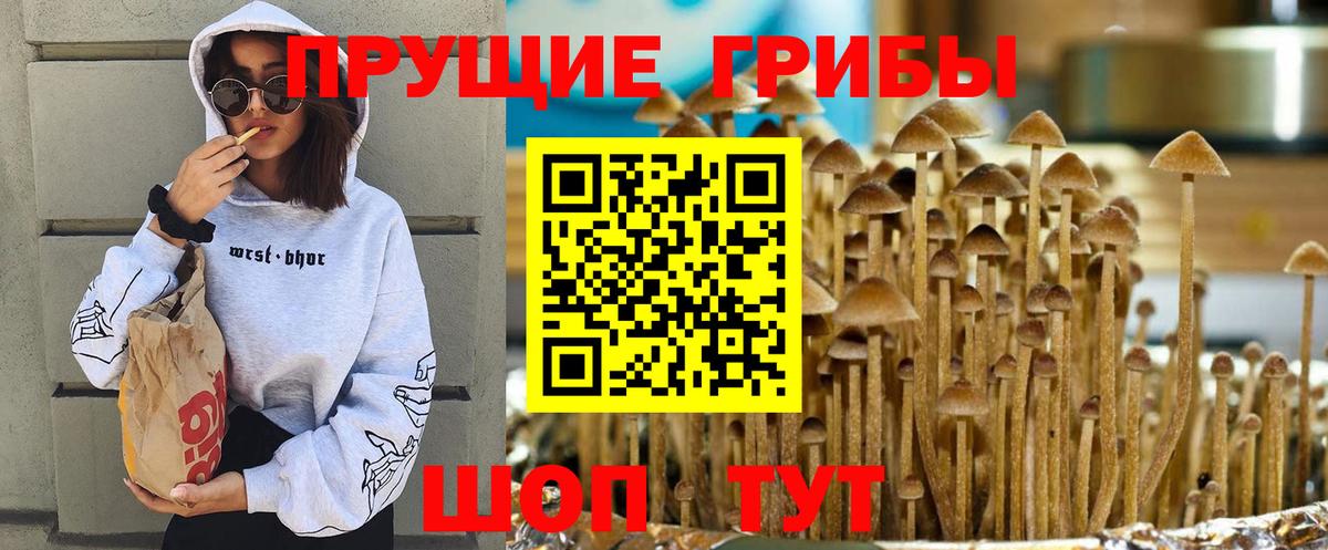 Аксай  Галлюциногенные грибы Magic Shrooms  Вход с VPN 