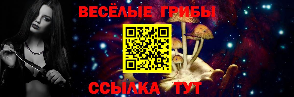 Галлюциногенные грибы GOLDEN TEACHER Аксай